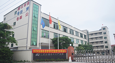 熱烈歡迎渠縣縣委領導蒞臨我司參觀指導！